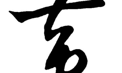 紫胡的功效与作用及禁忌是什么-权威紫胡的药用功效与作用平台,分享专业紫胡的功效与作用及禁忌是什么知识_紫胡的药用功效网