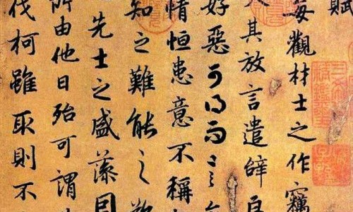 紫胡是什么中药-权威紫胡的药用功效与作用平台,分享专业紫胡的功效与作用及禁忌是什么知识_紫胡的药用功效网