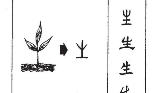 紫胡的功效与作用及禁忌是什么-权威紫胡的药用功效与作用平台,分享专业紫胡的功效与作用及禁忌是什么知识_紫胡的药用功效网